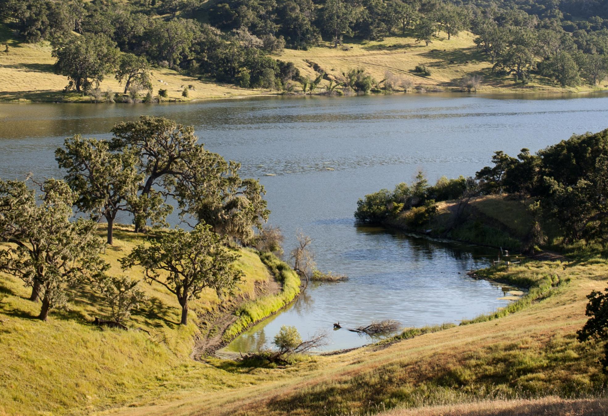 Alisal Ranch, in Solvang, United States I Prefer